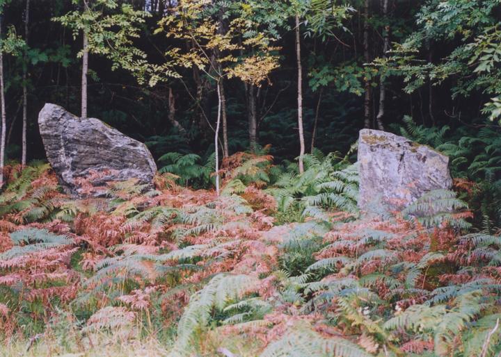 Newtyle standing stones in Dunkeld and Dowally, Perthshire